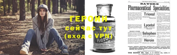 стафф Арсеньев