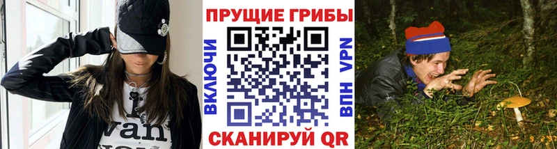 Псилоцибиновые грибы мицелий  Белогорск 